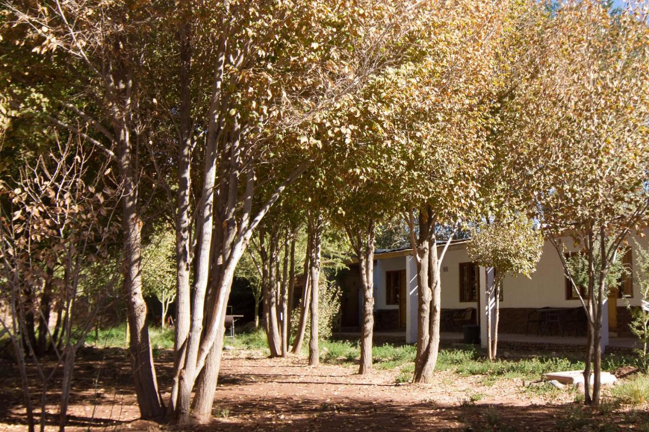 Terracota Guest house *
